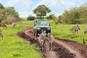 00-top5-best-tanzania-family-safaris-and-tours-BW-header1200px