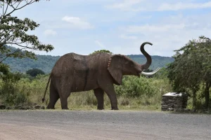 Arusha National Park